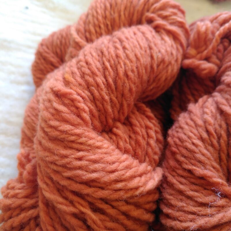 Fil a tricoter laine locale bio teinture ecologique la laine des coccinelles