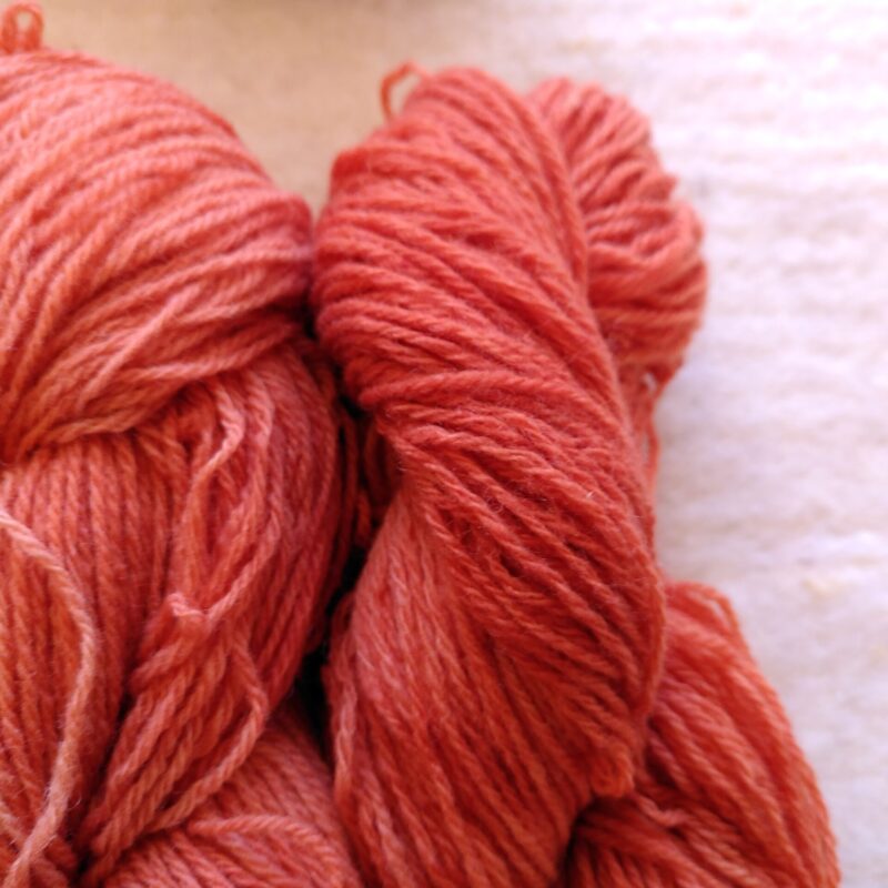 Fil a tricoter laine locale bio teinture ecologique la laine des coccinelles