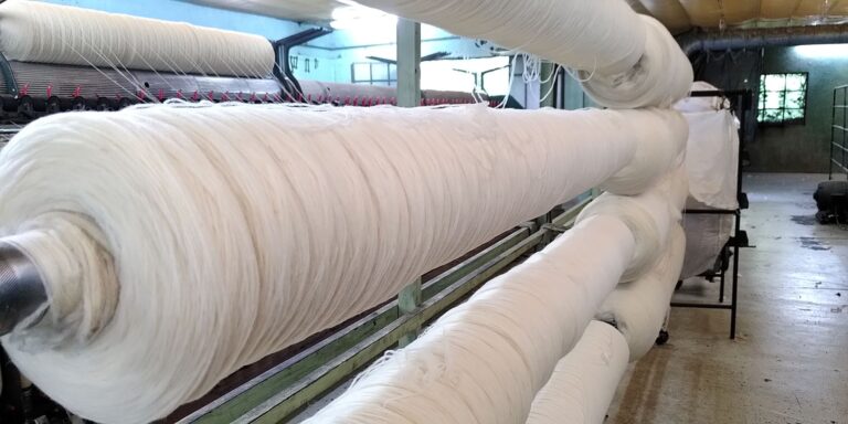 Filage de la laine de mouton en filature, étape du pré-fil
