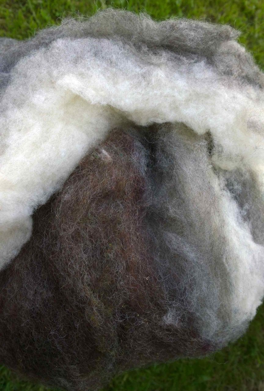 La laine a de multiples caractéristiques et qualités très intéressantes