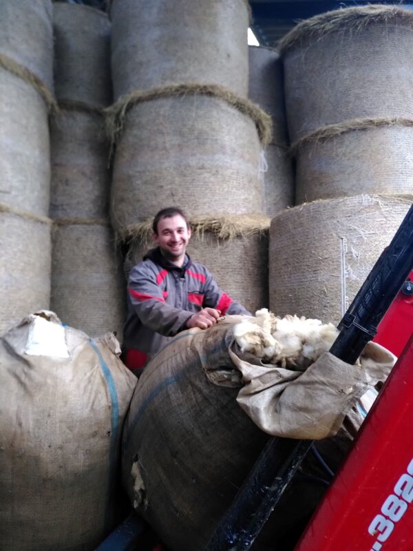 Une laine propre et fine est une grande fierté pour ce jeune éleveur de Meuse