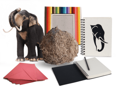 Papeterie à partir de crotte d'éléphant certifiée du commerce équitable par Elecosy