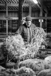 Patrice Rampanelli éleveur de moutons professionnel Texel Suffolk Wensleydale