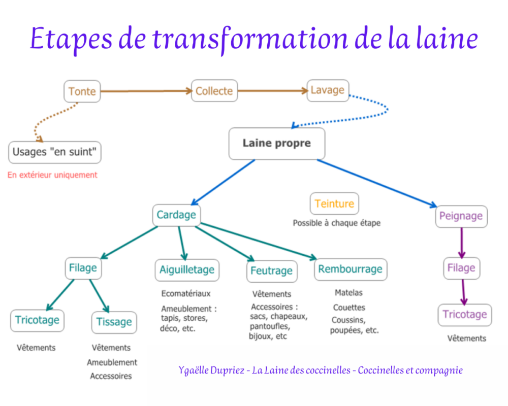 Schéma des étapes de transformation de la laine