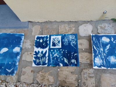 Atelier d'initiation au cyanotype avec des éléments de la nature