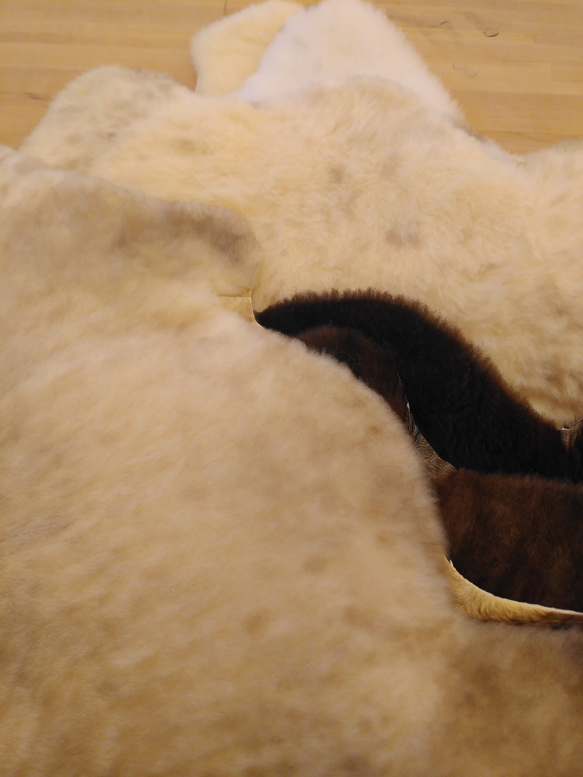 Peau d'agneau durables issues de la bergerie bio du Gros Cron à Lahage