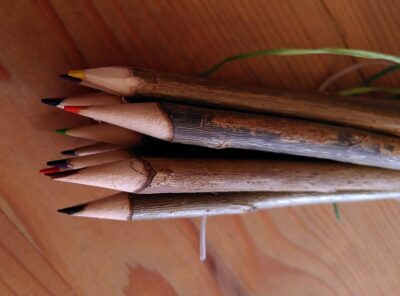 Fagot de 10 crayons de couleur artisanaux en saule gaumais