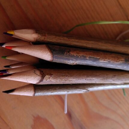 Fagot de 10 crayons de couleur artisanaux en saule gaumais