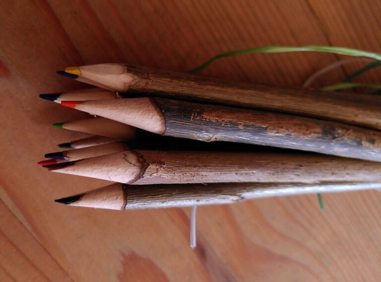 Fagot de 10 crayons de couleur artisanaux en saule gaumais