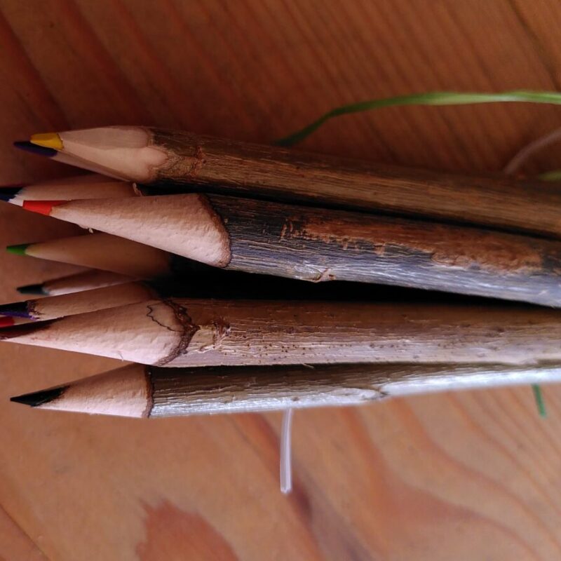 Fagot de 10 crayons de couleur artisanaux en saule gaumais
