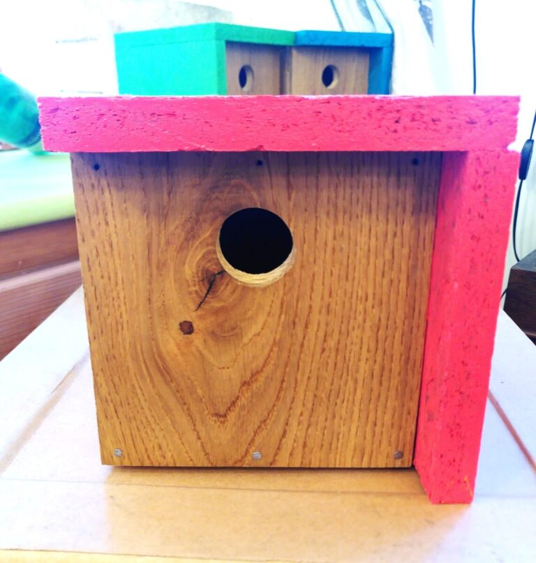 Nichoirs à oiseaux en bois recyclé durable