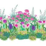 Plateau de bulbes faciles à planter pour une belle floraison