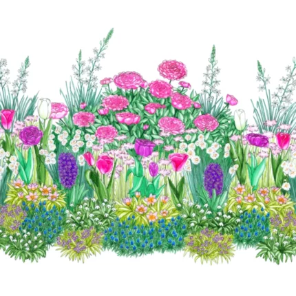 Plateau de bulbes faciles à planter pour une belle floraison