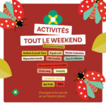 Fête et activités pour les 5 ans de la boutique-atelier Coccinelles et compagnie