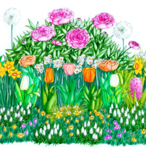 Plateau de bulbes de fleurs à planter Bulb'up