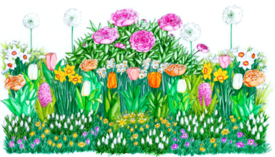 Plateau de bulbes de fleurs à planter Bulb'up