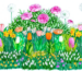 Plateau de bulbes de fleurs à planter Bulb'up