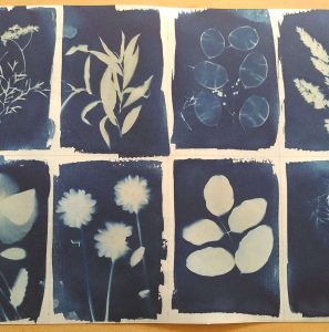 Atelier pour apprendre les cyanotypes sur papier et sur tissu