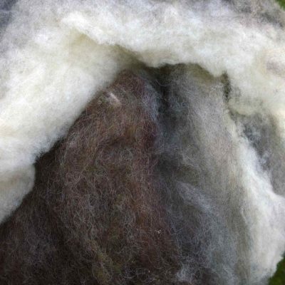 La laine a de multiples caractéristiques et qualités très intéressantes