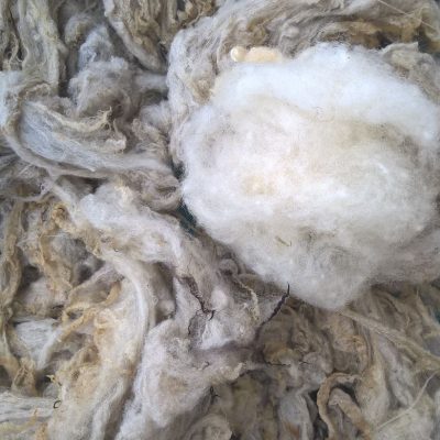 La fibre de laine est composée d'une protéine, la kératine et a de nombreuses qualités
