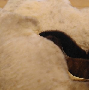 Peau d'agneau durables issues de la bergerie bio du Gros Cron à Lahage
